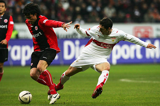 吸引了全球 吸引了全球